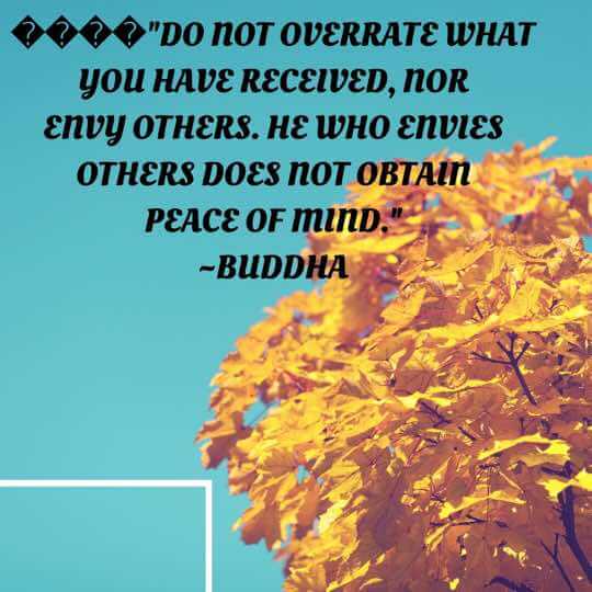 Motivational quotes - Buddha quotes - Motivation N You